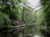 thumbs/tiergarten.jpg